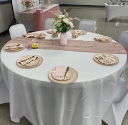 8C898379 AAFE 478D A9F9 7565F0BA67BE 1721790823 Table runner 10 ft dusty rose